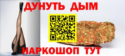 гидропоника Новозыбков