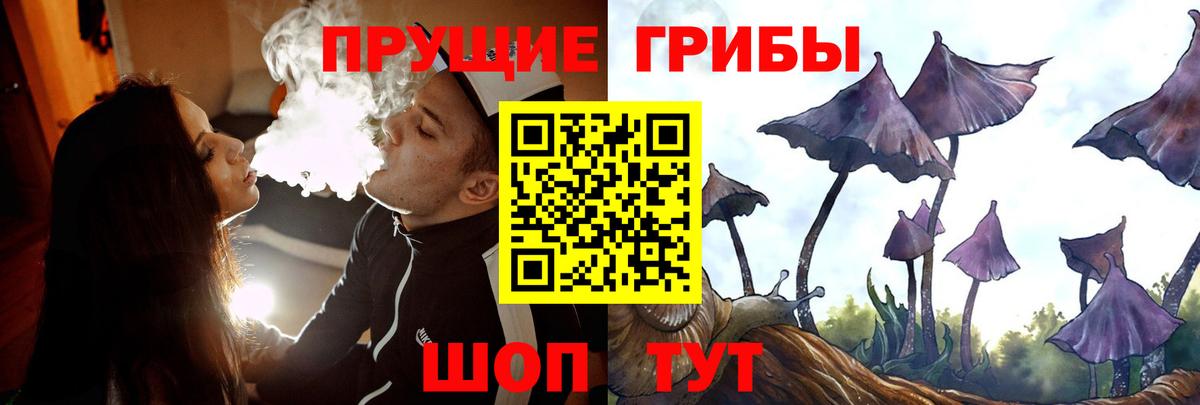 Заинск  Галлюциногенные грибы MAGIC MUSHROOMS  Вход с VPN  Галлюциногенные грибы ЛСД 